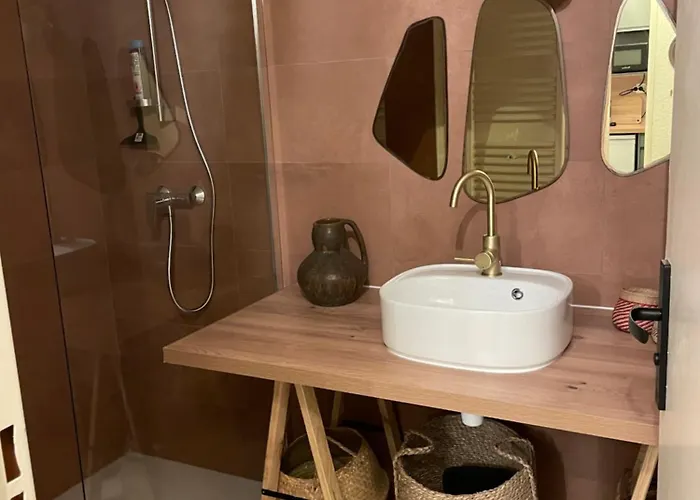 Au Coeur De Ste Max, La Terracota 4 Pers Avec Parking 公寓 圣马克西姆